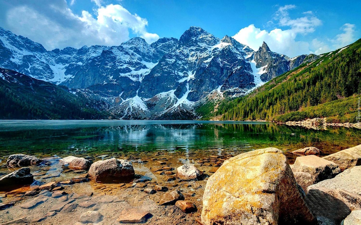 Osrodek Ski Suche & Zakopane Poronin Exterior foto